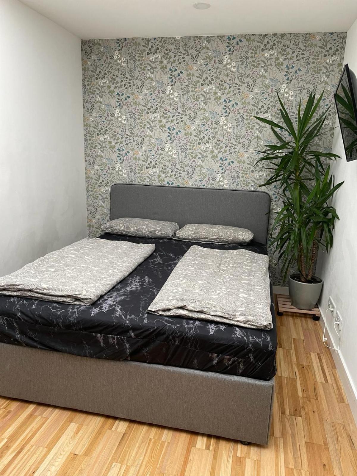 Bungalow Am Donaupark Regensburg Ngoại thất bức ảnh